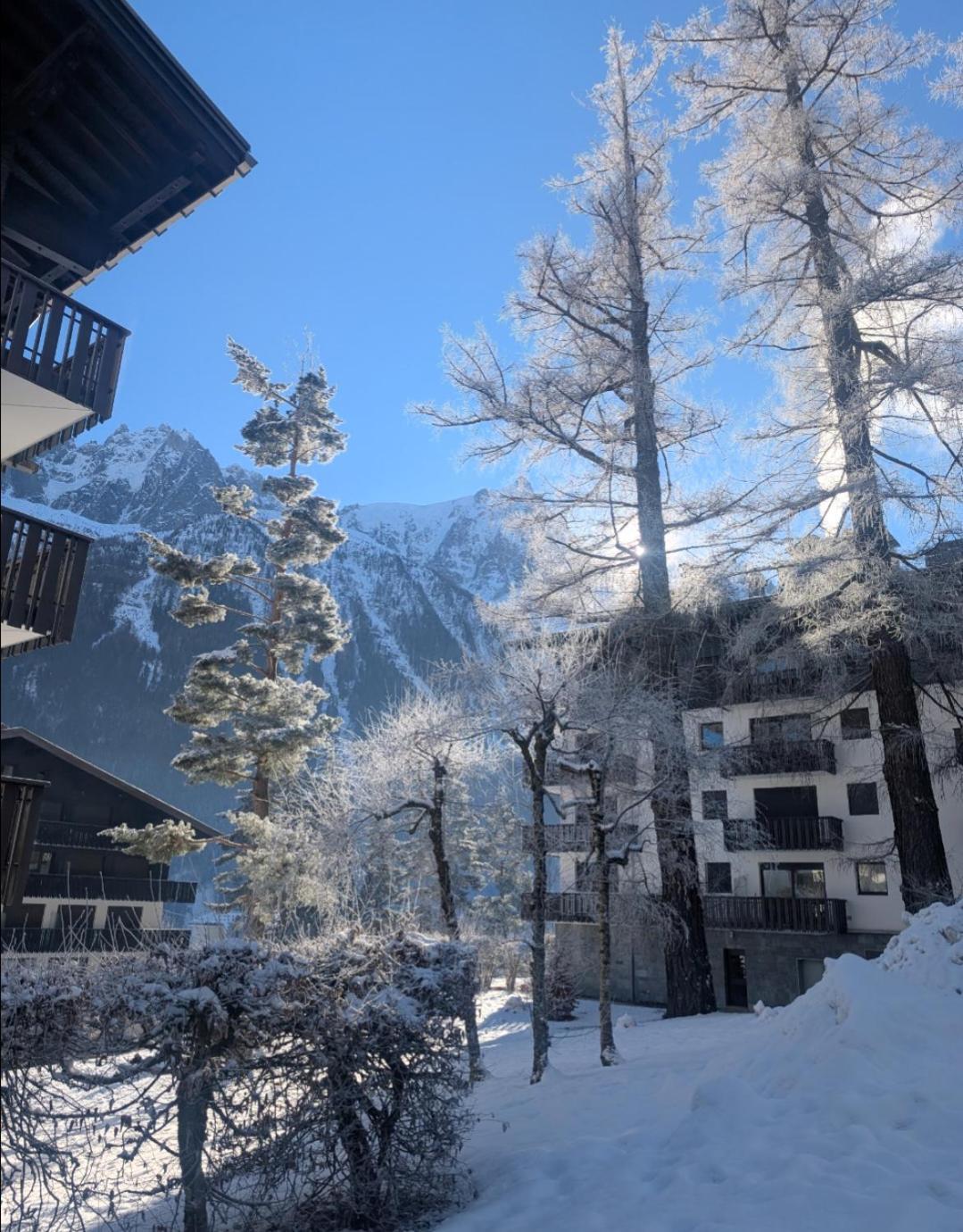Au Petit Bois Apartamento Chamonix Exterior foto